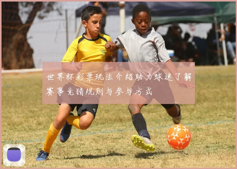 世界杯彩票玩法介绍助力球迷了解赛事竞猜规则与参与方式