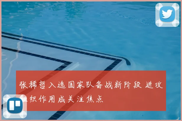 张稀哲入选国家队备战新阶段 进攻组织作用成关注焦点