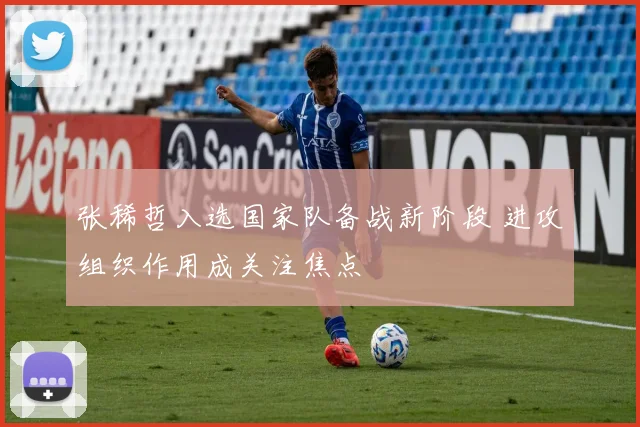 张稀哲入选国家队备战新阶段 进攻组织作用成关注焦点