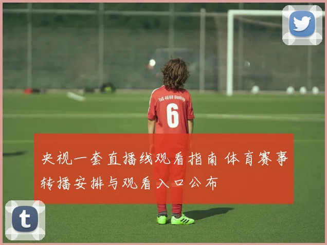 央视一套直播线观看指南 体育赛事转播安排与观看入口公布